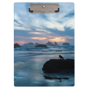 Pranchetas EUA, Oregon, Praia de Bandon. Gaivota sobre rocha
