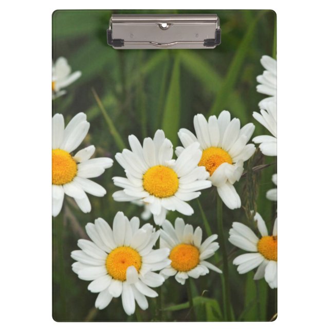 Pranchetas EUA, Washington, Seattle, Puget Sound 3 (Frente)