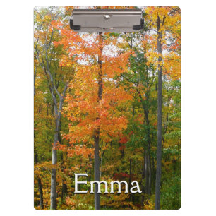 Pranchetas Fall Maple Trees Autumn Nature Fotografia