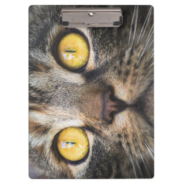 Pranchetas Fechamento de Gato com Olhos Amarelos