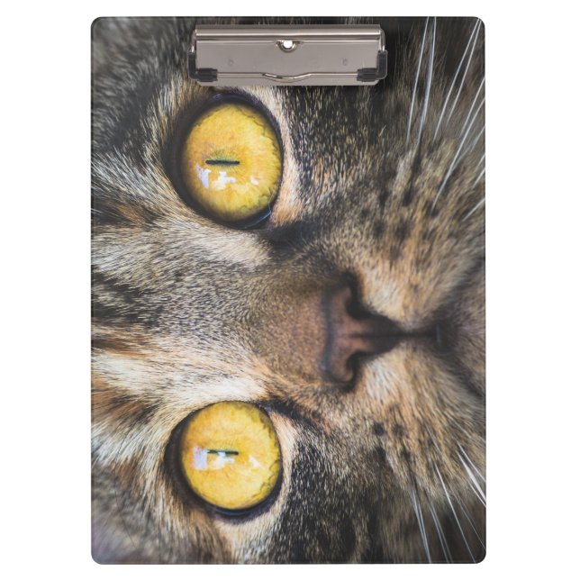 Pranchetas Fechamento de Gato com Olhos Amarelos (Frente)