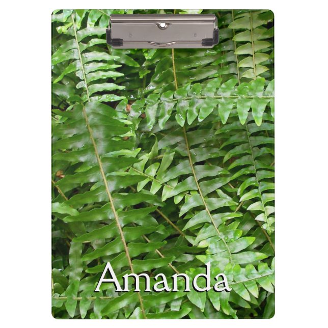 Pranchetas Fern Frontes I Green Nature (Frente)