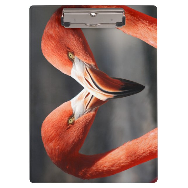 Pranchetas Flamingoes no Amor (Frente)