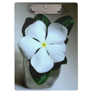 Pranchetas Flor branca
