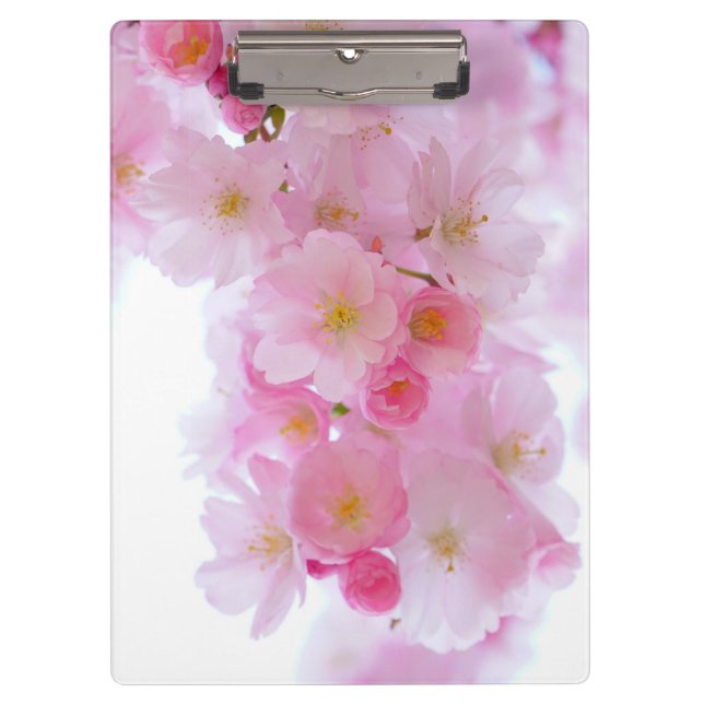 Pranchetas Flor de árvore de cereja japonesa (Frente)