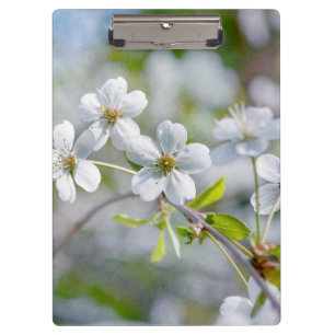 Pranchetas Flor de Cereja Branca
