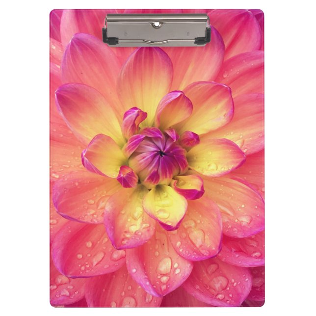 Pranchetas Flor de dália cor-de-rosa coral (Frente)