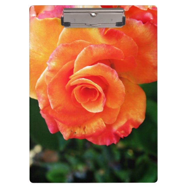 Pranchetas Flor de rosa laranja (Frente)