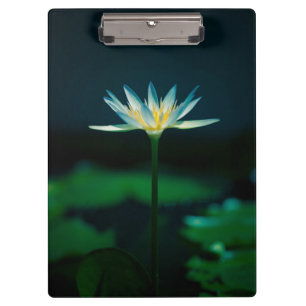 Pranchetas Flor Líquido de Água Branca