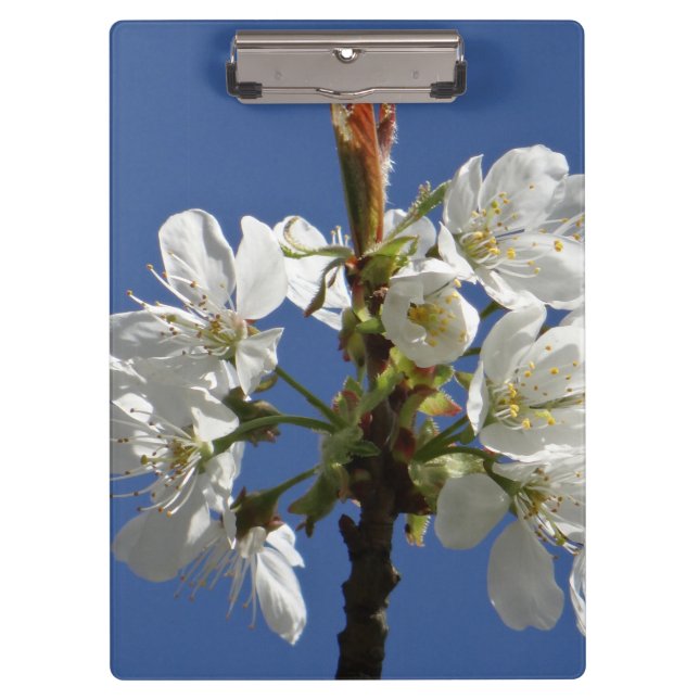 Pranchetas Flor Primavera branco (Frente)