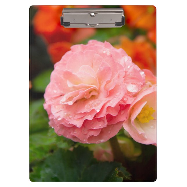 Pranchetas Flor rosa delicada após a chuva (Frente)