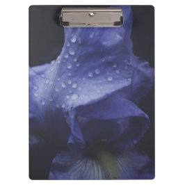 Pranchetas Flor Rosa púrpura