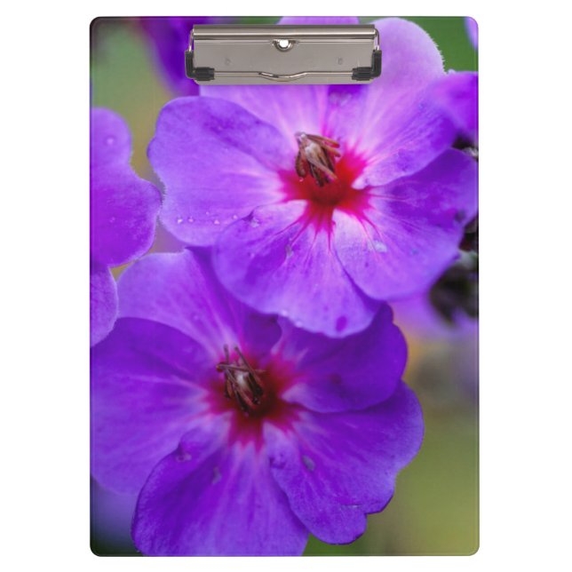 Pranchetas Flor roxa (Frente)