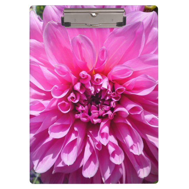 Pranchetas Flor Roxo Rosa Dahlia (Frente)