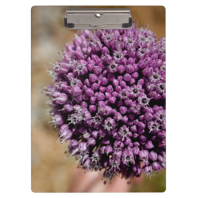 Pranchetas Flor Selvagem (Frente)