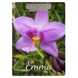 Pranchetas Flor Tropical Roxo de Orquídea Selvagem