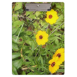 Pranchetas Flores amarelas