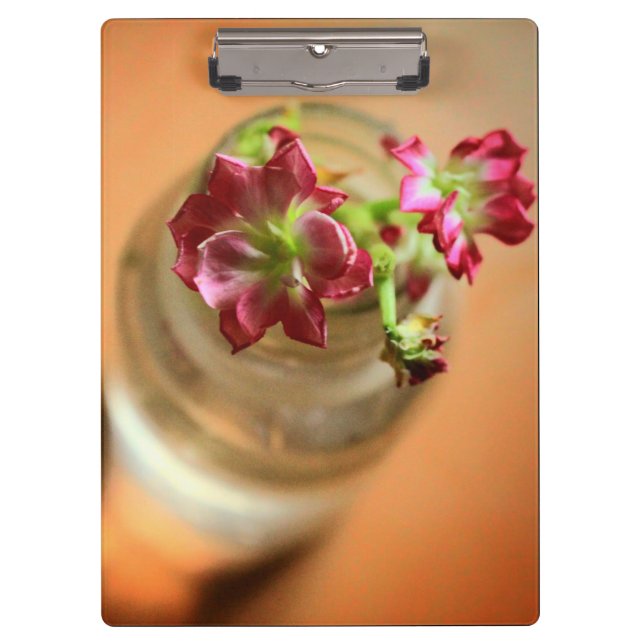 Pranchetas Flores de Magenta (Frente)