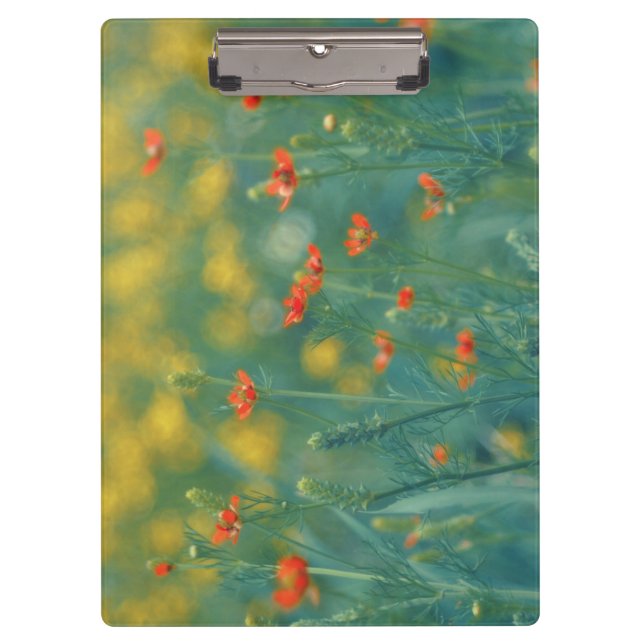 Pranchetas Flores De Verão (Campo Floral) (Flores Vermelhas) (Frente)