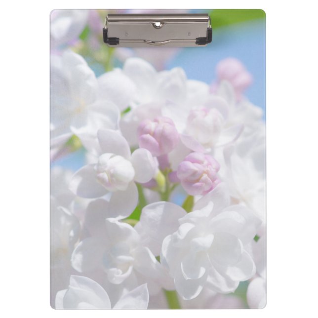 Pranchetas Flores Lilac (Frente)