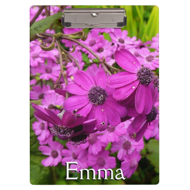 Pranchetas Flores Roxas de São Francisco (Frente)