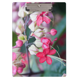 Pranchetas Flores Tropicais Vermelhas Rosa e Branca