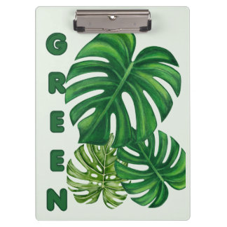 Pranchetas Folhas Verdes de Monstera