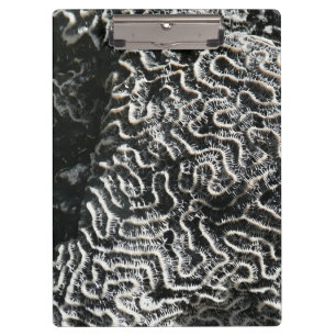 Pranchetas Foto da natureza do Abstrato Black and White Coral
