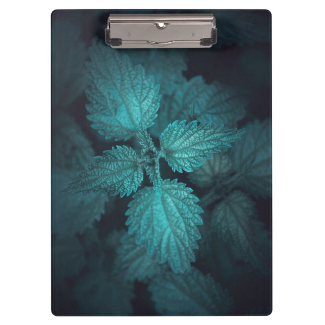 Pranchetas Foto da natureza do urticária escura (Frente)