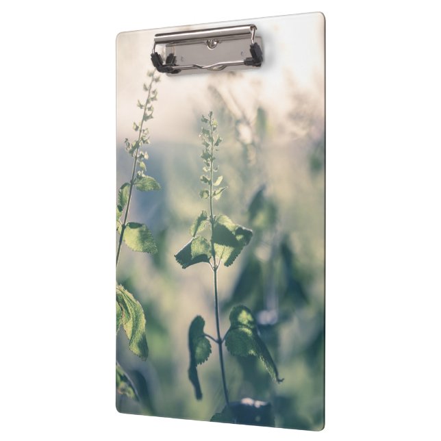 Pranchetas Foto de natureza floral (Esquerda)