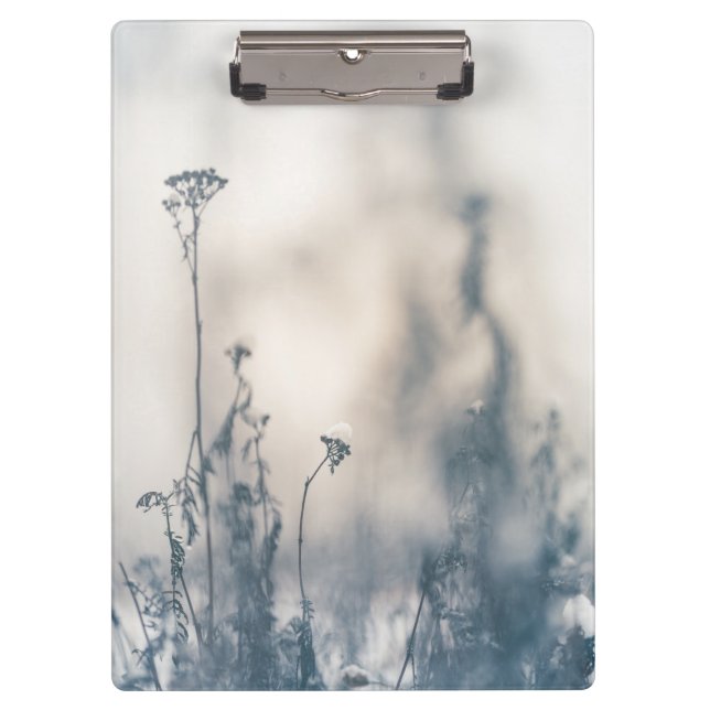 Pranchetas Foto natural das plantas de inverno (Frente)