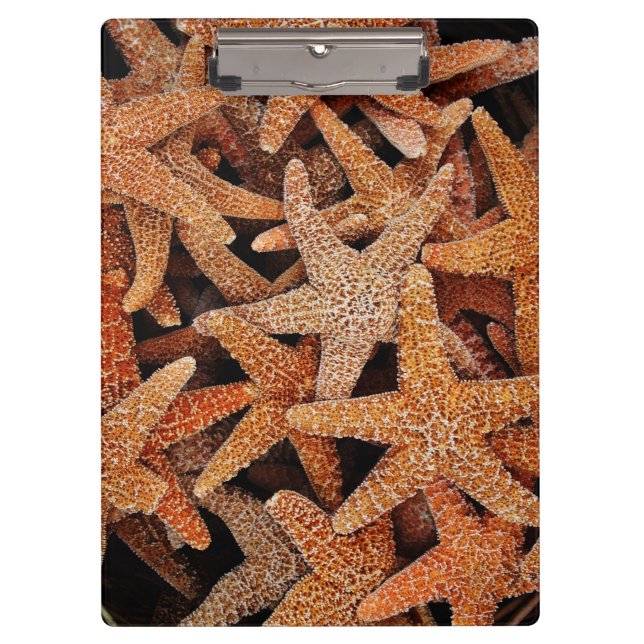 Pranchetas Foto Tropical de Starfish (Frente)
