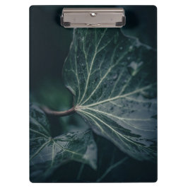 Pranchetas Fotografia da Natureza da Folha de Marfim Escura