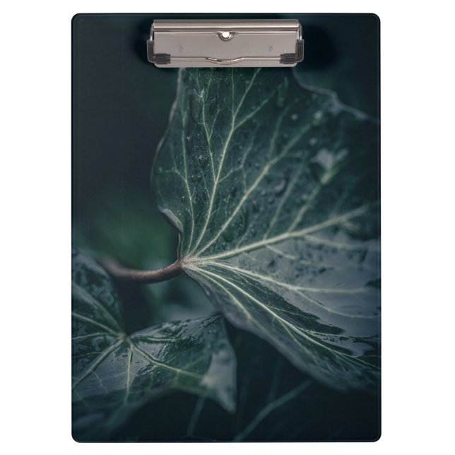 Pranchetas Fotografia da Natureza da Folha de Marfim Escura (Frente)