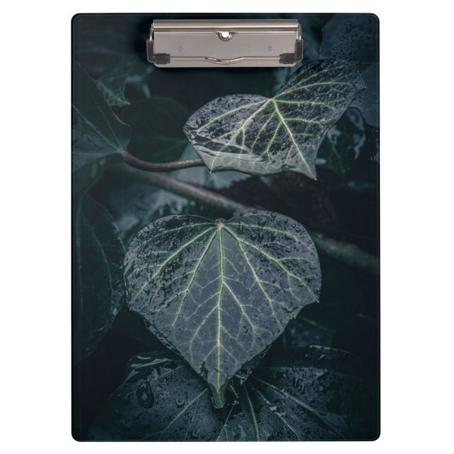 Pranchetas Fotografia da Natureza da Ivy Escura (Frente)