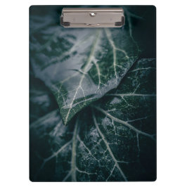 Pranchetas Fotografia da Natureza Floral Dark Moody Ivy