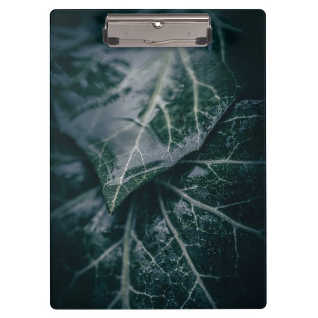 Pranchetas Fotografia da Natureza Floral Dark Moody Ivy (Frente)