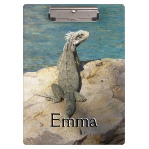 Pranchetas Fotografia da Vida Selvagem Tropical de Iguana