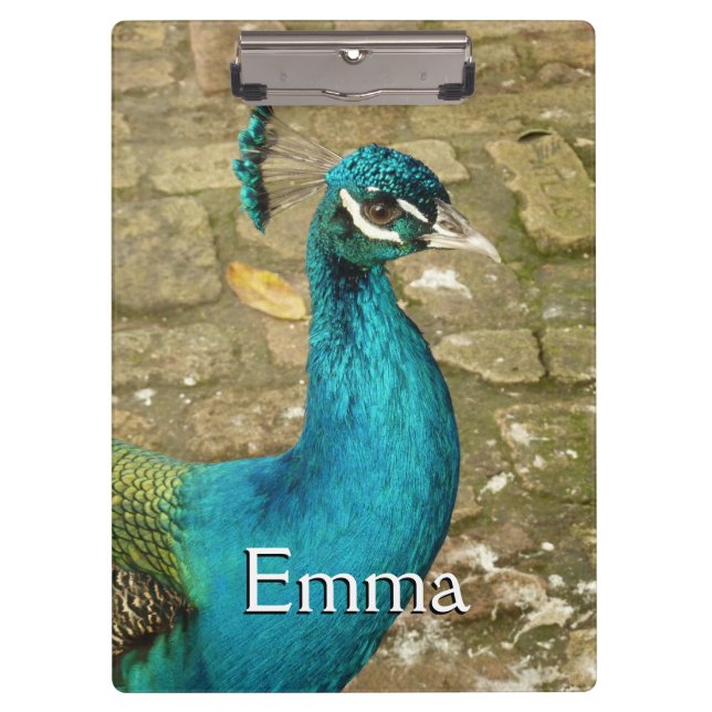 Pranchetas Fotografia de beleza Peacock (Frente)