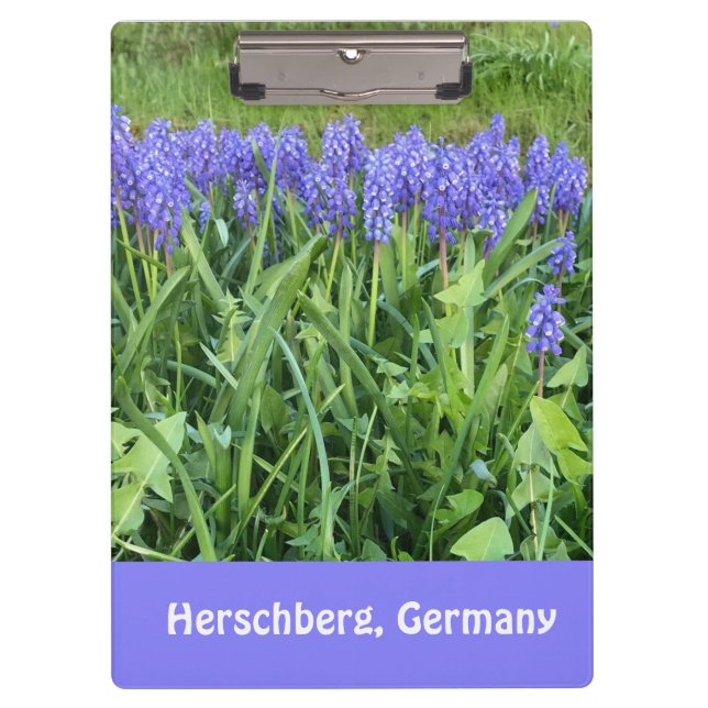 Pranchetas Fotografia Violet Bluebells - Herschberg, Alemanha (Frente)