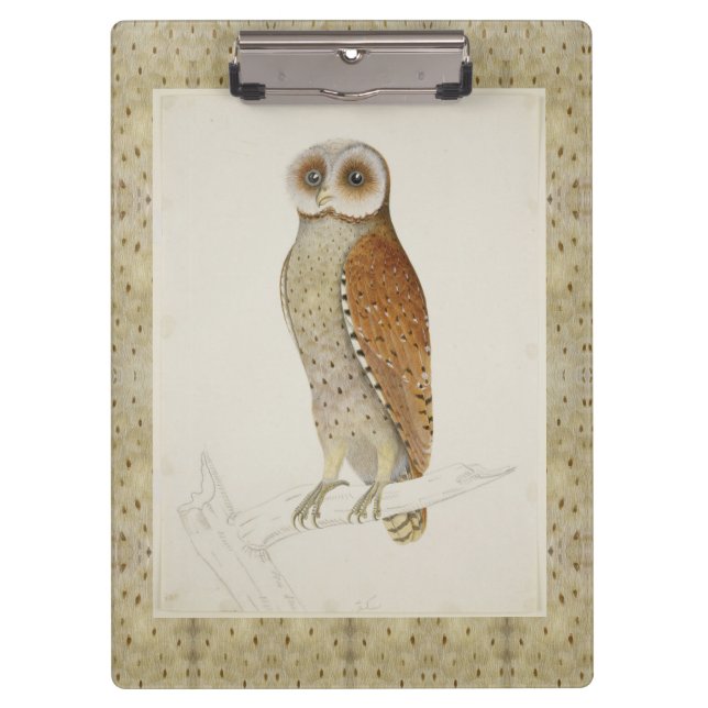 Pranchetas Galinha-do-mar-do-mar (Frente)