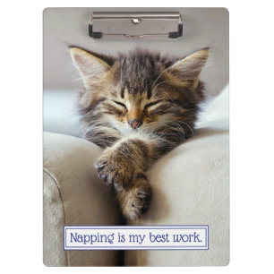 Pranchetas Gatinho dormindo