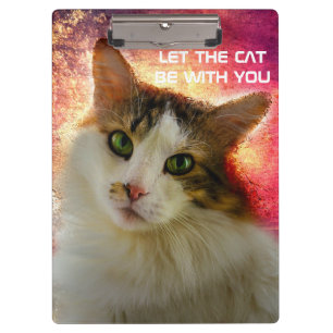 Pranchetas Gato de Calico Cento Adorável
