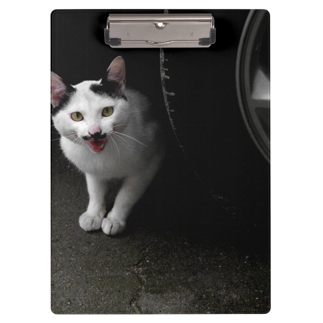 Pranchetas Gato de Rua com Bigode (Frente)