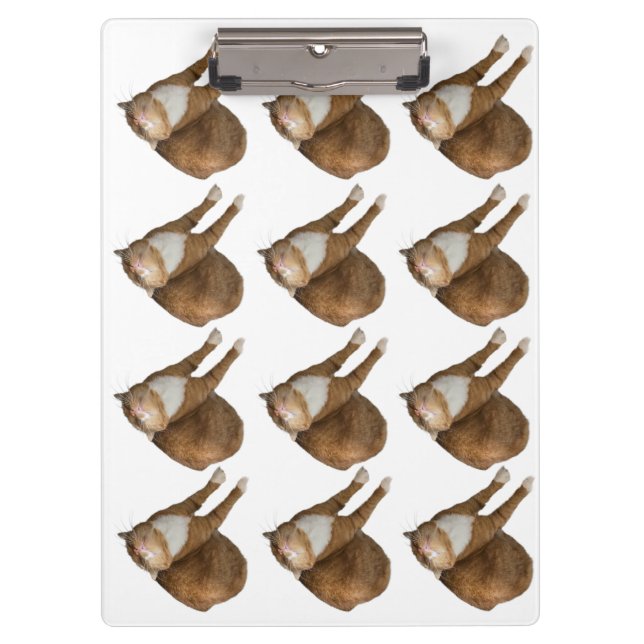 Pranchetas Gato de Sol de Cabeça para Baixo (Frente)