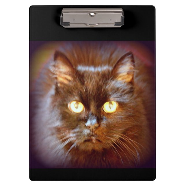 Pranchetas Gato negro (Frente)