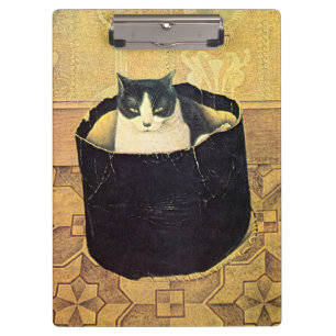 Pranchetas Gato no Hatbox, Solomon Meijer