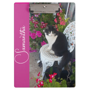 Pranchetas Gato Tuxedo Gatos e Flores Nome de Meninas Rosa Es