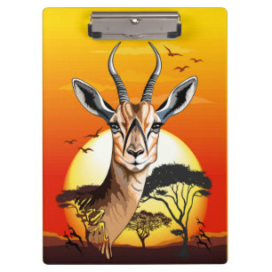 Pranchetas Gazelle African Antelope Wild Animal
