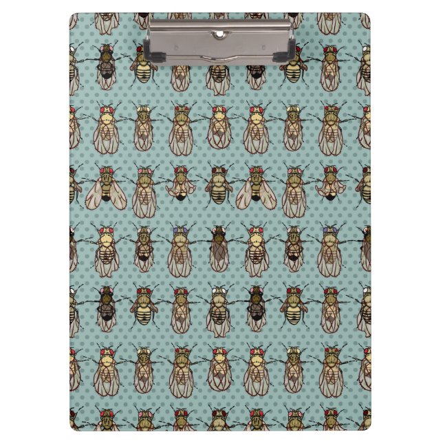 Pranchetas Genética da mosca de fruta da drosófila - mutantes (Frente)